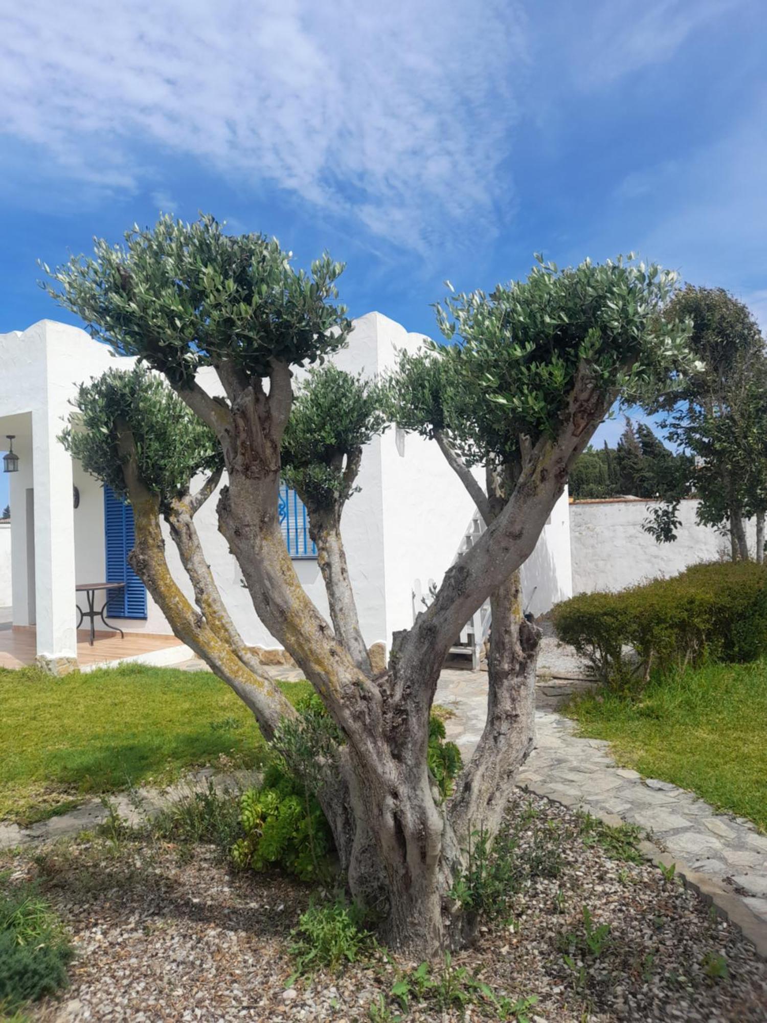 Alojamientos Rurales Inma Conil De La Frontera Exterior foto